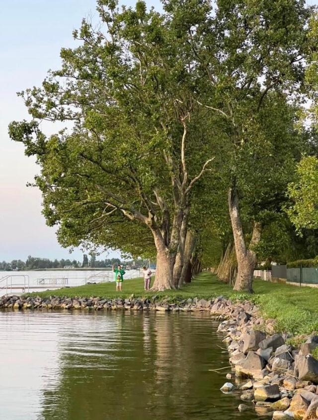 Rozsa Nyaralohaz Villa Balatonboglár Eksteriør bilde