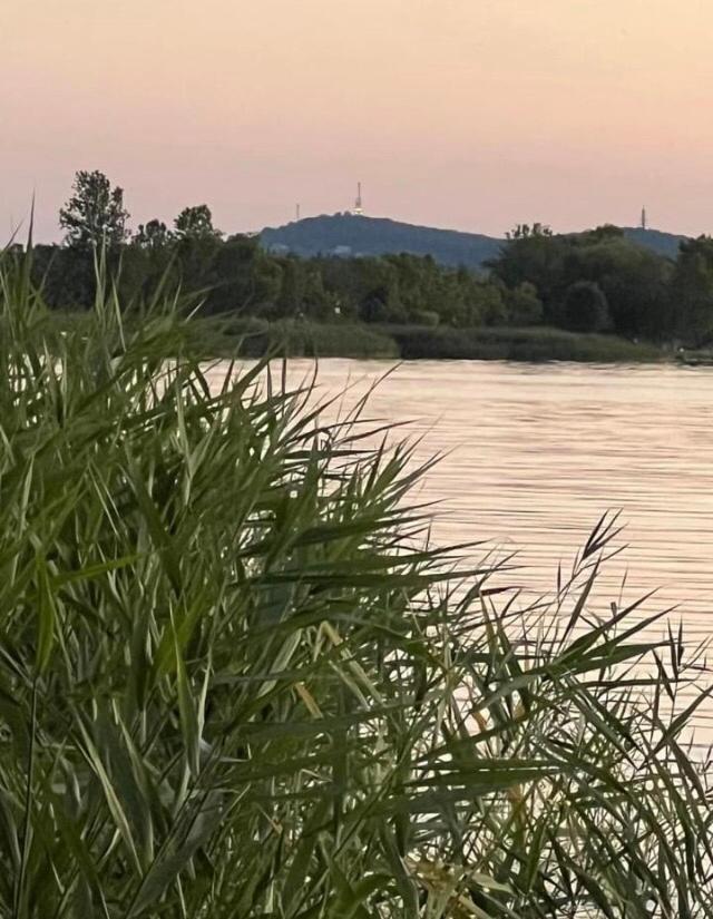 Rozsa Nyaralohaz Villa Balatonboglár Eksteriør bilde