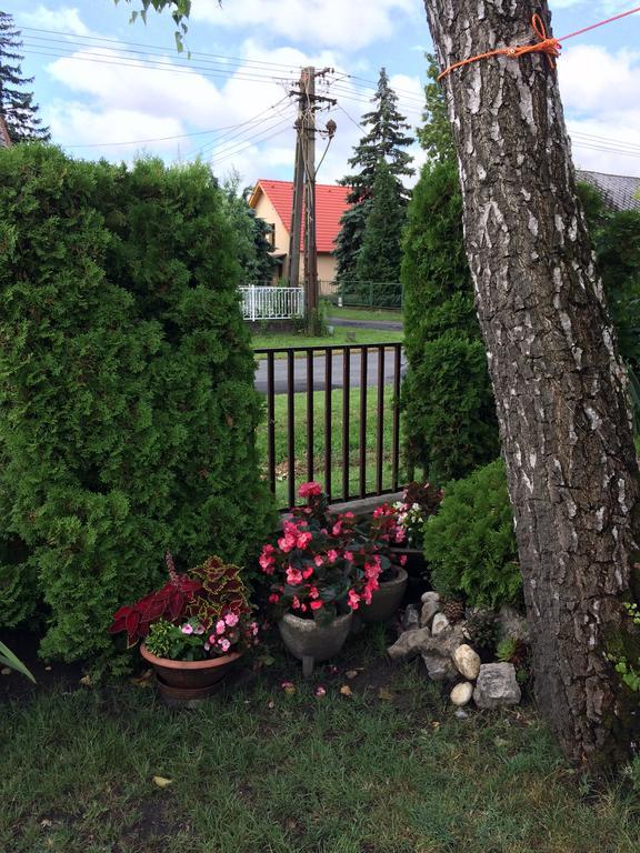Rozsa Nyaralohaz Villa Balatonboglár Eksteriør bilde